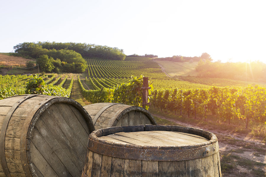 Stellungnahme Investitionen in Weingut – Gutachten erstellen