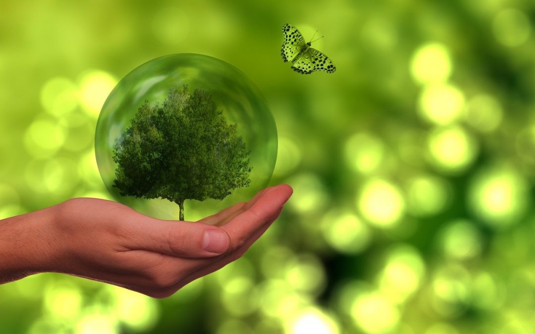 Nachhaltige Unternehmensführung: Was ist Nachhaltigkeitscontrolling?